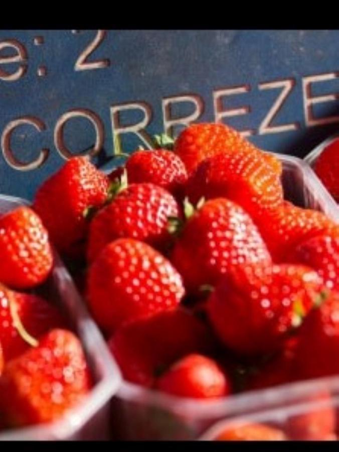 Le Parc Des 4 Saisons Bed & Breakfast Corrèze Екстериор снимка