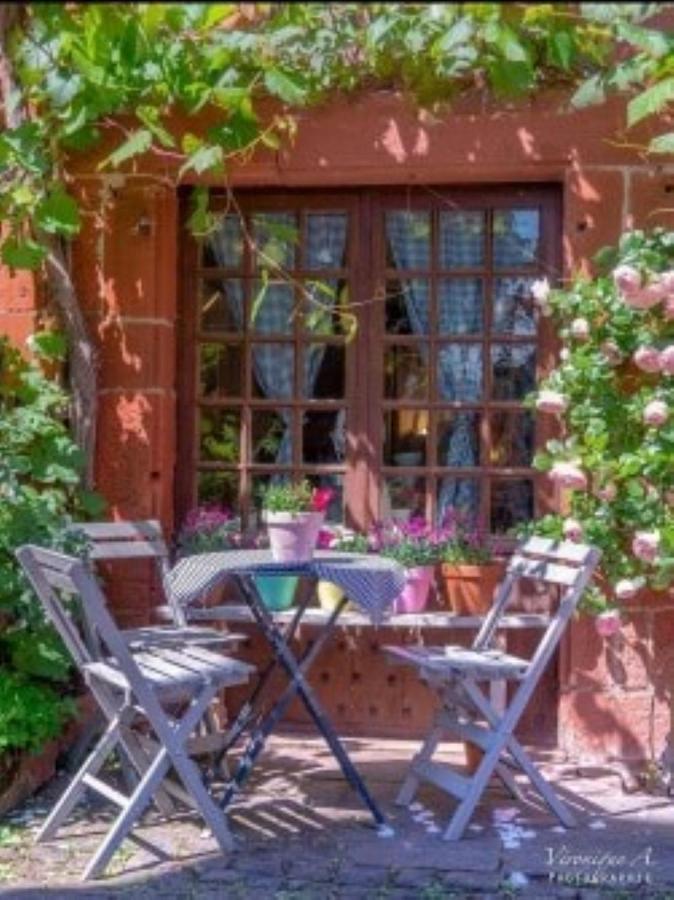 Le Parc Des 4 Saisons Bed & Breakfast Corrèze Екстериор снимка