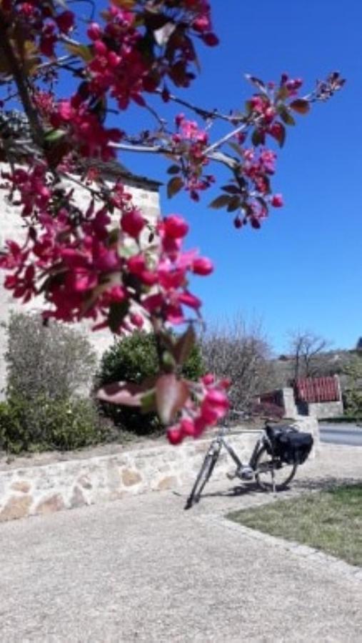 Le Parc Des 4 Saisons Bed & Breakfast Corrèze Екстериор снимка