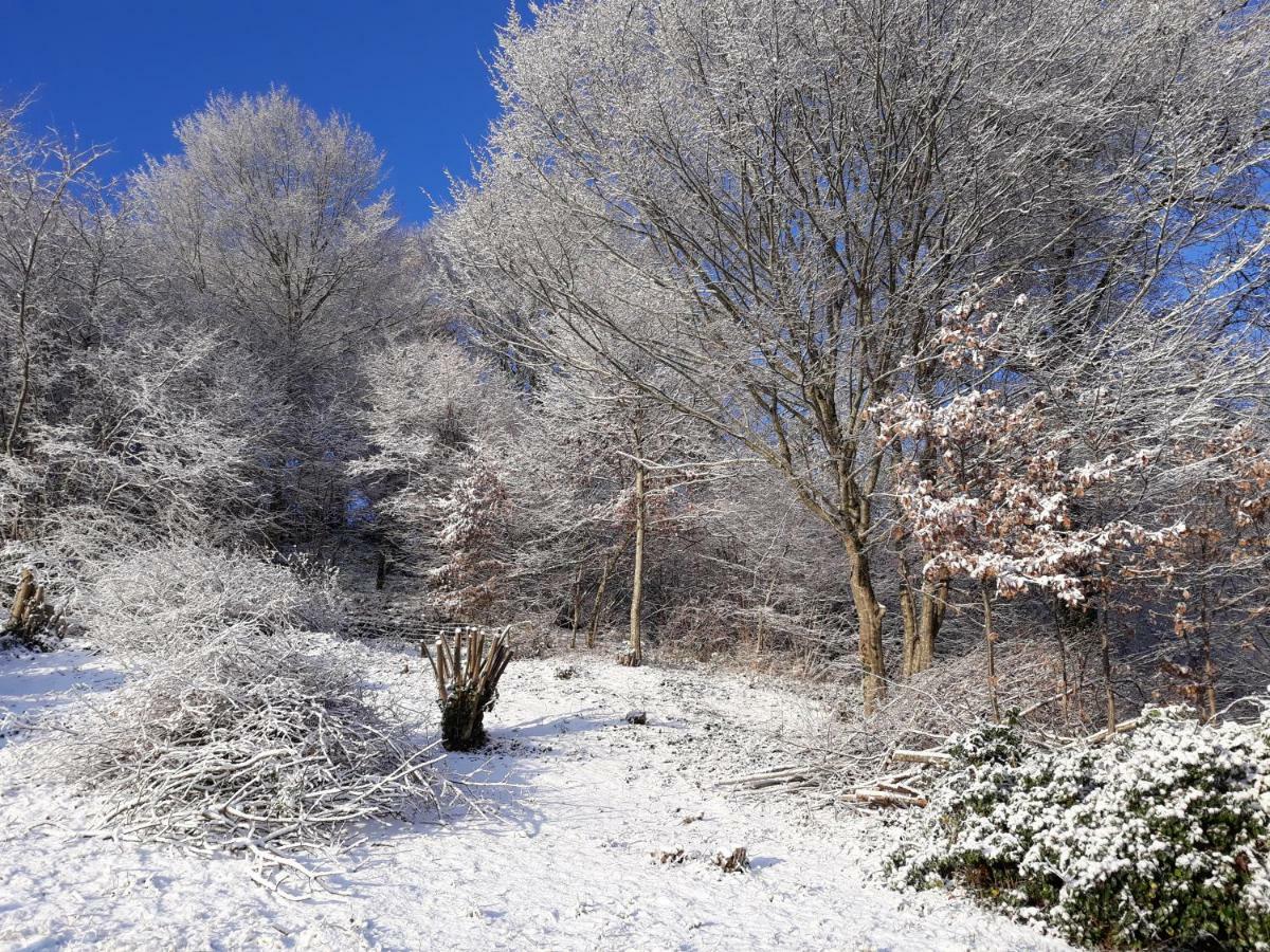 Le Parc Des 4 Saisons Bed & Breakfast Corrèze Екстериор снимка