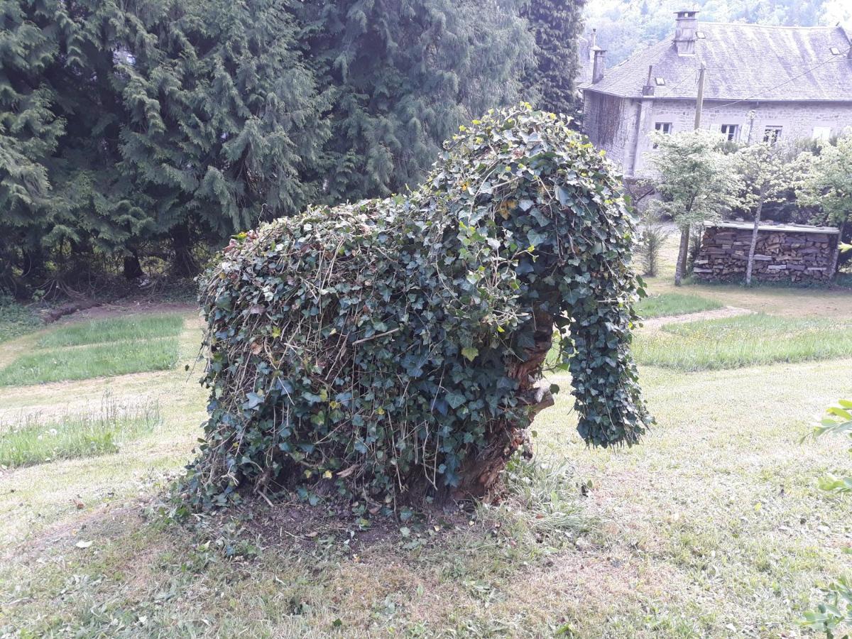 Le Parc Des 4 Saisons Bed & Breakfast Corrèze Екстериор снимка